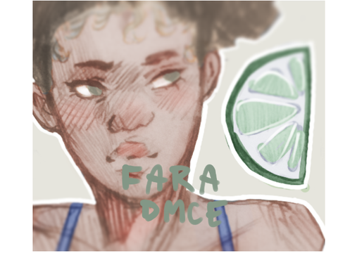 Fara DMC entry