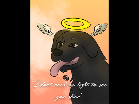 </33