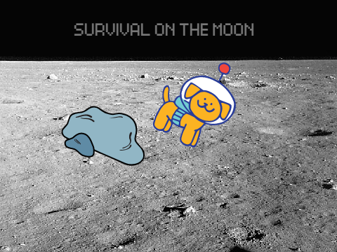 Survival on the moon