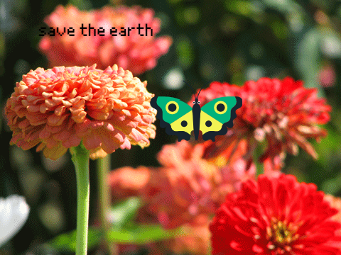 save the butterflies, love the earth, there is only one earth.