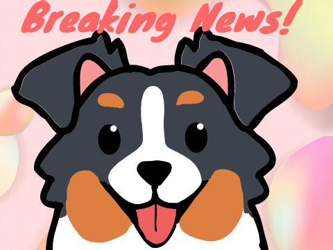 Breaking News!