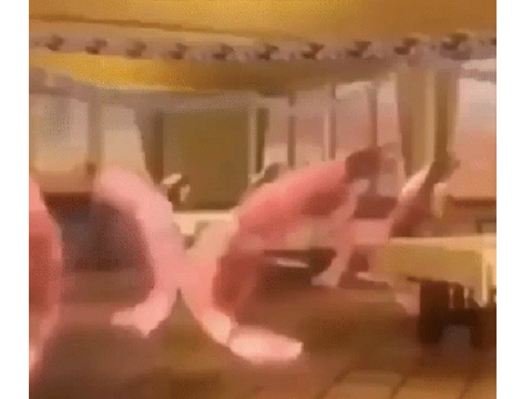 shrimp