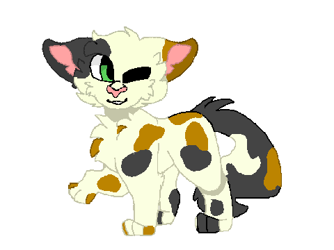 Hollypaw 