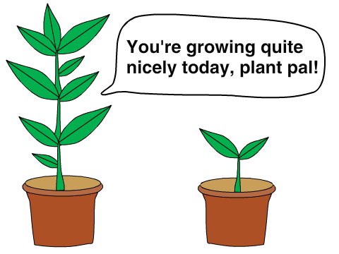 A Thoughtful Potted Plant