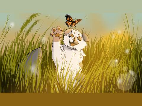 Mothstep drawing 