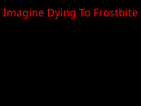 POV: You die to frostbite in Zelda