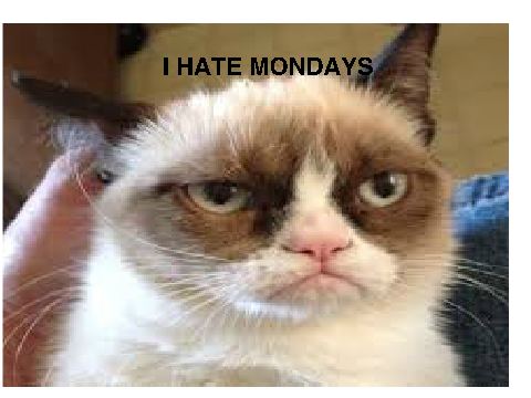 Grumpy Cat