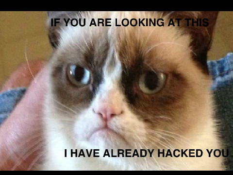 Grumpy Cat OP