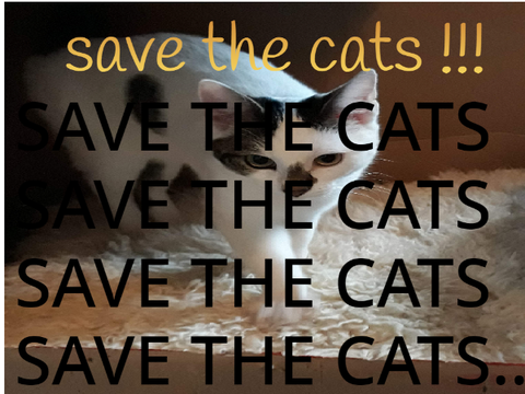 remix if you want to save the cats remix remix