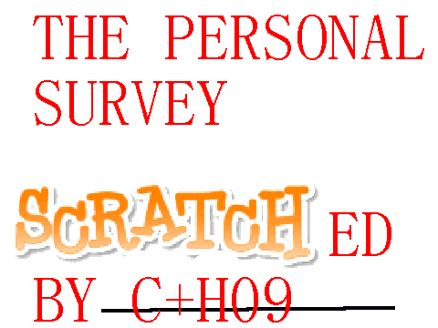 The_Personal_Survey[1]
