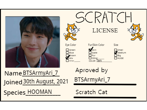 Make Your Own Scratch License remix