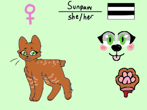 Sunpaw ref sheet (and ref base) || ATCRP