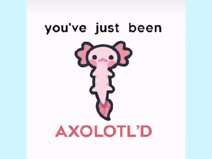 You've just been Axolotl'd >:00