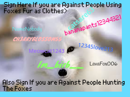 STOP HUNTING FOXES!!