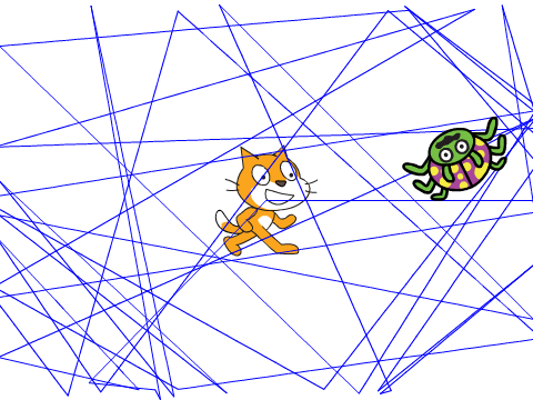 spiders web