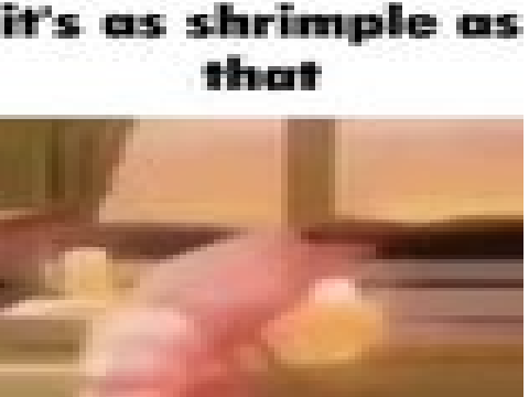 cursed photos on my new school computer 