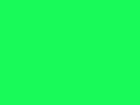 Devil Piece (IN-DEV)