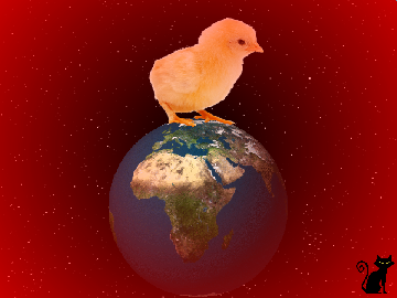 Méfiez-vous des poussins !