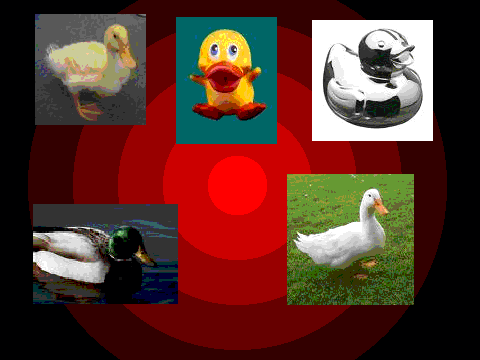 Press the duck