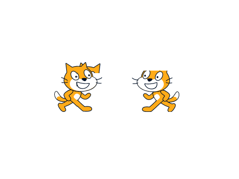 Crash