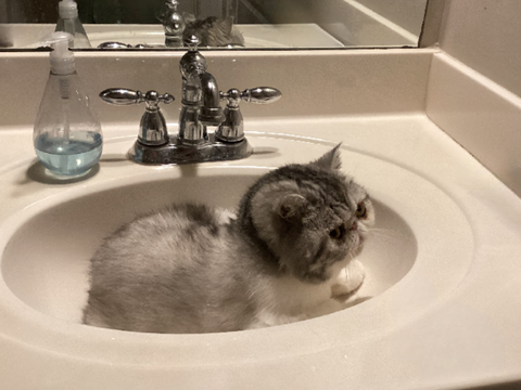 POV: you get up to wash your hands and see this