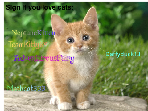Sign here if you adore cats remix remix