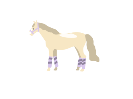 Horse for @Anabella3