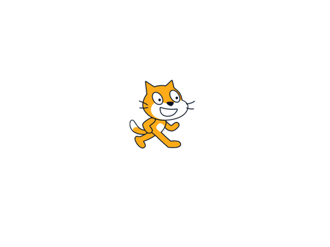 cat scratch