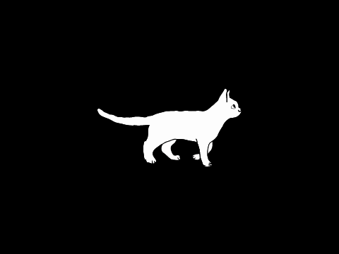 Kitten Art