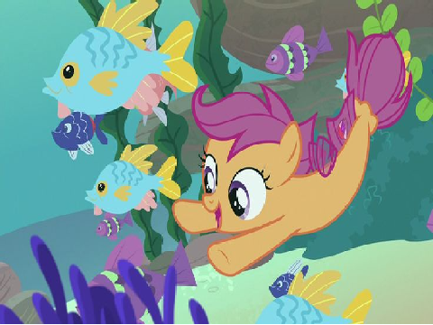 Scootaloo Tribute