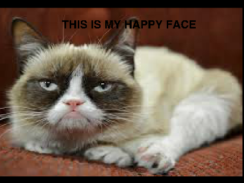 Grumpy Cat Happy