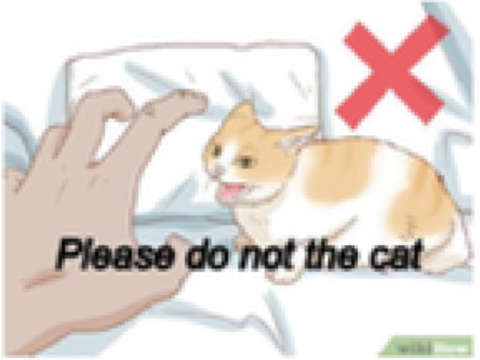 Please Do Not The Cat remix