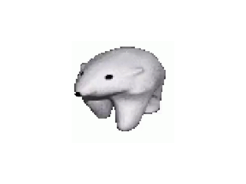 question thing