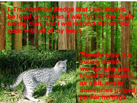 Join ThunderClan remix