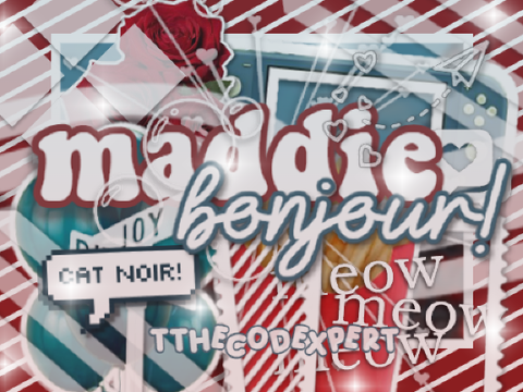 ✥ bday gift for maddie! ▞