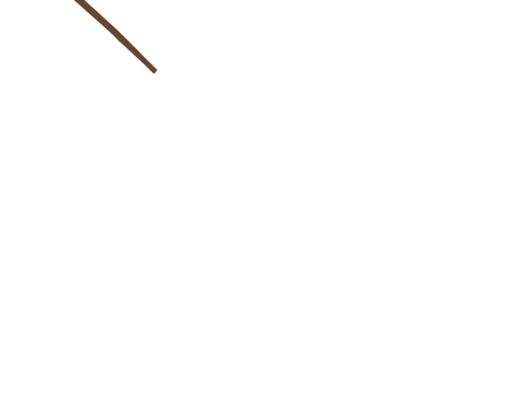 Dancing Broom