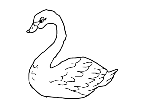 Swan