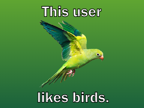 This user likes birds.