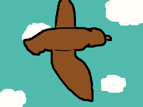 Brid flying animation test
