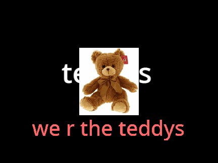 we r the teddys