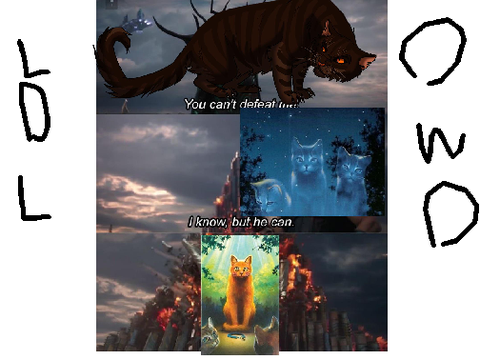 Warrior cat memes