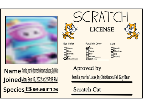 my license to be approved