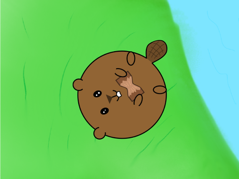 AC term 2 | beaver | remixed project 