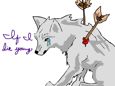 Shading test/animal art