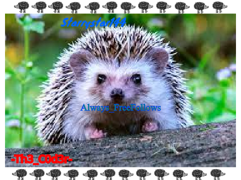 Sign here if you love hedgehog! remix remix