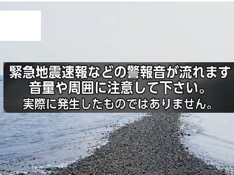 相模トラフ巨大地震NHK風シュミレーション