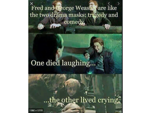 Harry Potter Memes