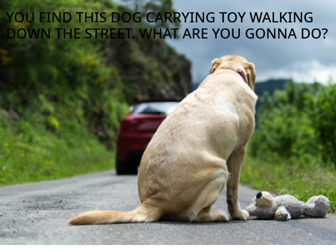 Would You Help?
