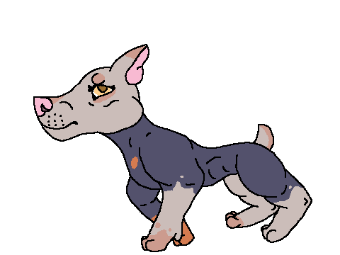 Help me name this plz