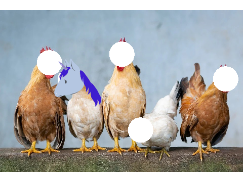 Add yourself as a chicken! remix